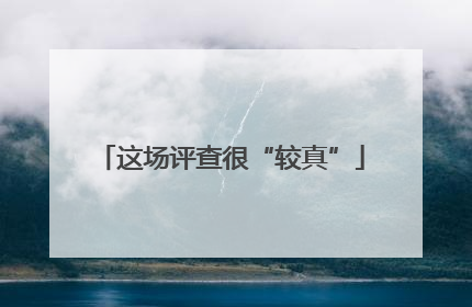 这场评查很“较真”