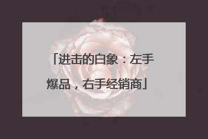 进击的白象：左手爆品，右手经销商