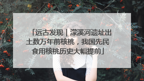 远古发现｜濛溪河遗址出土数万年前核桃，我国先民食用核桃历史大幅提前