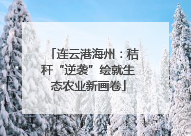 连云港海州：秸秆“逆袭”绘就生态农业新画卷