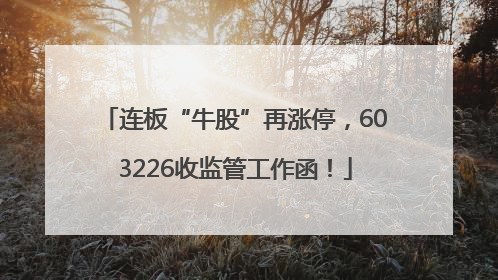 连板“牛股”再涨停，603226收监管工作函！