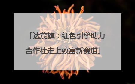 达茂旗：红色引擎助力合作社走上致富新赛道
