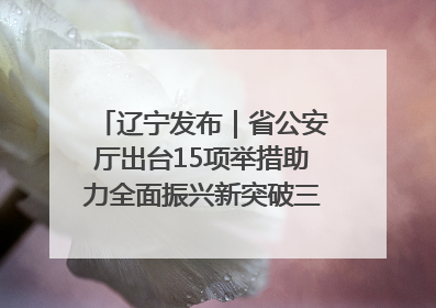 辽宁发布｜省公安厅出台15项举措助力全面振兴新突破三年行动决胜之战
