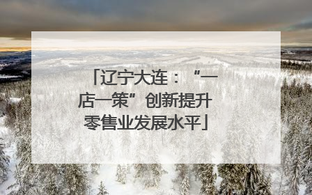 辽宁大连：“一店一策”创新提升零售业发展水平