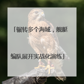 辗转多个海域，舰艇编队展开实战化演练