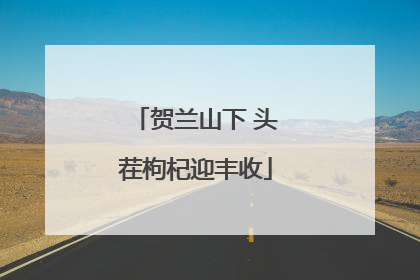 贺兰山下 头茬枸杞迎丰收