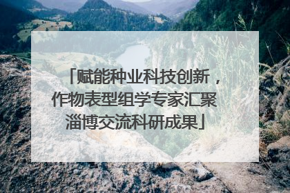 赋能种业科技创新，作物表型组学专家汇聚淄博交流科研成果