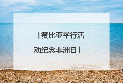 赞比亚举行活动纪念非洲日