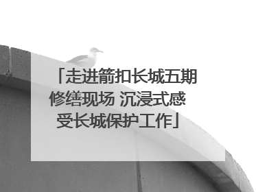 走进箭扣长城五期修缮现场 沉浸式感受长城保护工作