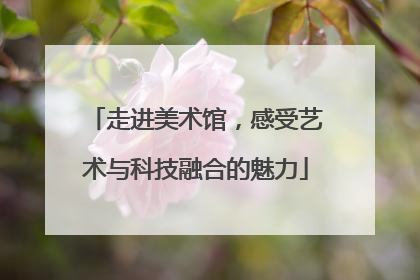 走进美术馆，感受艺术与科技融合的魅力