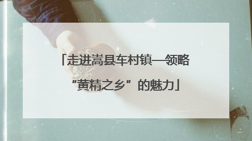 走进嵩县车村镇—领略“黄精之乡”的魅力