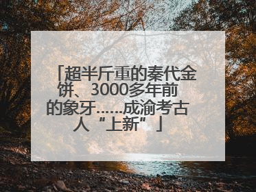 超半斤重的秦代金饼、3000多年前的象牙……成渝考古人“上新”