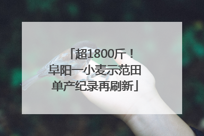 超1800斤！阜阳一小麦示范田单产纪录再刷新