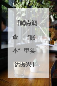 蹲点调查｜“账本”里头话振兴