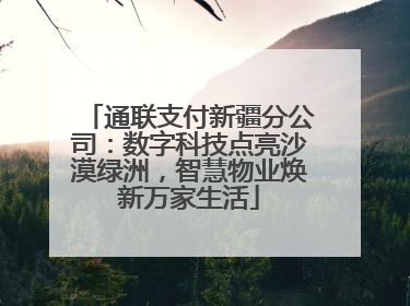 通联支付新疆分公司：数字科技点亮沙漠绿洲，智慧物业焕新万家生活