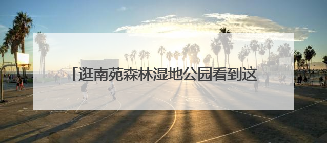逛南苑森林湿地公园看到这样的照相机，千万别动！
