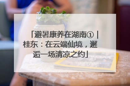 避暑康养在湖南①｜桂东：在云端仙境，邂逅一场清凉之约