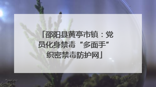 邵阳县黄亭市镇：党员化身禁毒“多面手” 织密禁毒防护网