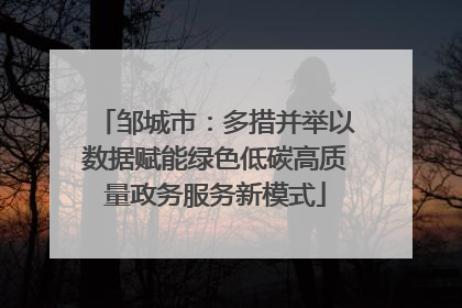 邹城市：多措并举以数据赋能绿色低碳高质量政务服务新模式
