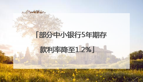部分中小银行5年期存款利率降至1.2%