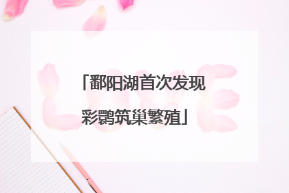 鄱阳湖首次发现彩鹮筑巢繁殖