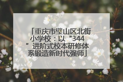 重庆市璧山区北街小学校：以“344”进阶式校本研修体系锻造新时代强师