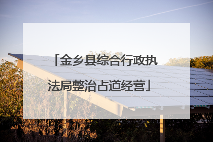 金乡县综合行政执法局整治占道经营