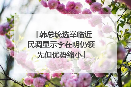 韩总统选举临近 民调显示李在明仍领先但优势缩小