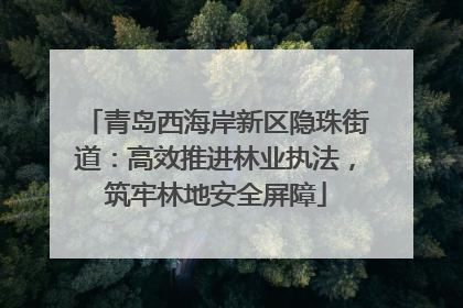 青岛西海岸新区隐珠街道：高效推进林业执法，筑牢林地安全屏障