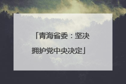 青海省委：坚决拥护党中央决定