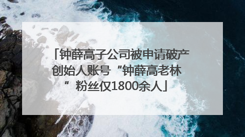 钟薛高子公司被申请破产 创始人账号“钟薛高老林”粉丝仅1800余人