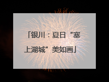 银川：夏日“塞上湖城”美如画