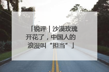 锐评｜沙漠玫瑰开花了，中国人的浪漫叫“担当”