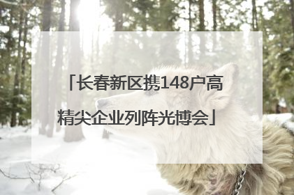 长春新区携148户高精尖企业列阵光博会