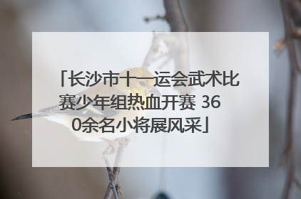 长沙市十一运会武术比赛少年组热血开赛 360余名小将展风采