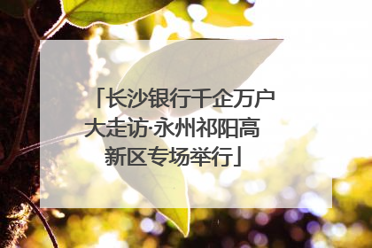 长沙银行千企万户大走访·永州祁阳高新区专场举行