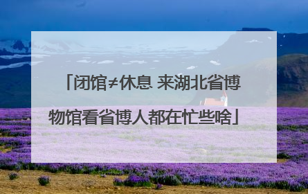 闭馆≠休息 来湖北省博物馆看省博人都在忙些啥