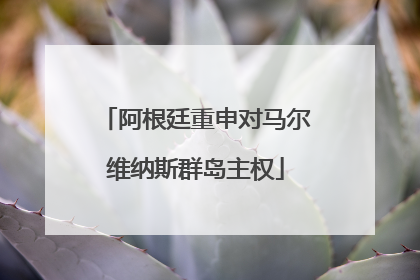 阿根廷重申对马尔维纳斯群岛主权
