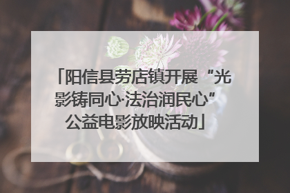 阳信县劳店镇开展“光影铸同心·法治润民心”公益电影放映活动