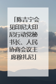 陈吉宁会见印尼大印尼行动党秘书长、人民协商会议主席穆扎尼