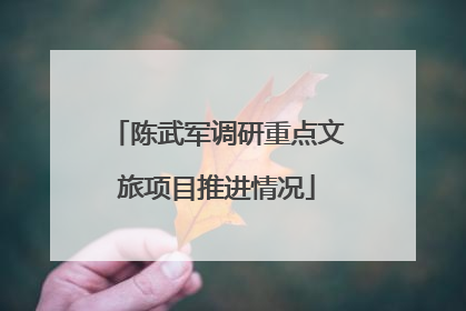 陈武军调研重点文旅项目推进情况