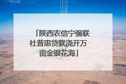 陕西农信宁强联社普惠贷款浇开万亩金银花海