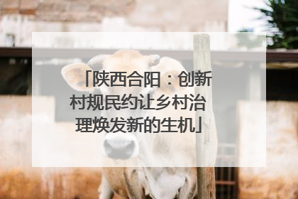 陕西合阳：创新村规民约让乡村治理焕发新的生机