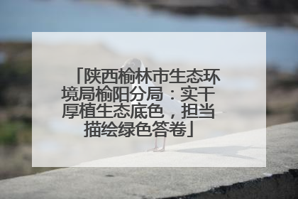 陕西榆林市生态环境局榆阳分局：实干厚植生态底色，担当描绘绿色答卷
