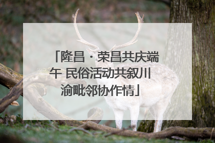 隆昌・荣昌共庆端午 民俗活动共叙川渝毗邻协作情