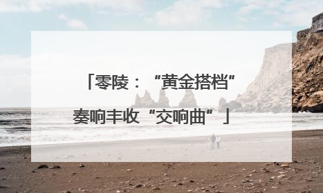 零陵：“黄金搭档”奏响丰收“交响曲”