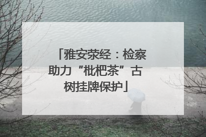 雅安荥经：检察助力“枇杷茶”古树挂牌保护