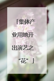 集体产业用地开出演艺之“花”