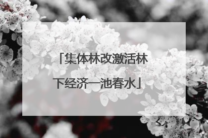 集体林改激活林下经济一池春水