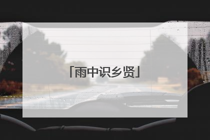 雨中识乡贤